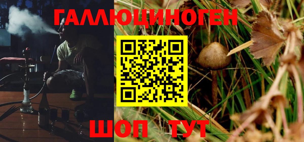 Псилоцибиновые грибы Psilocybe Асбест